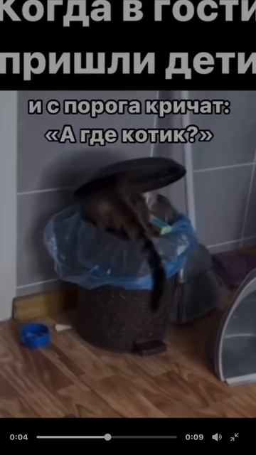 Спрятался)