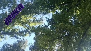 ИВАН КУЧИН**ПРОЙДУТ ГОДА И Я ВЕРНУСЬ**ЗОЛОТОЙ ГОЛОС ШАНСОНА. ЕЩЁ ОДНА       ИЗ ЛЮБИМЫХ ПЕСЕН. СУПЕР.