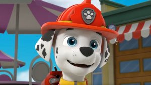 Щенячий патруль. Скай. Щенячий патруль машинки. Paw Patrol World. Зума игра. Башня щенячьего патруля