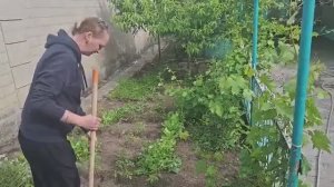 Официально Я. 13 июня 2026 г.