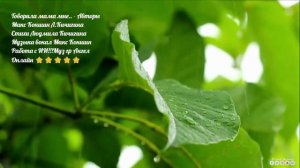 Говорила мама  мне. - Авторы Макс Коншин Л.Кичигина Макс Коншин Работа с ИИ!!!Муз гр.Ангел Онлайн