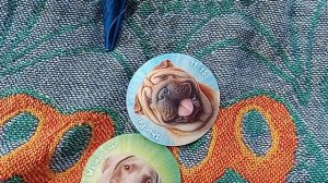 БАСИКИ ЕДЯТ МОРОЖЕНОЕ 🍦🍨🍧