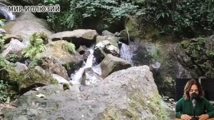 Наивная дура