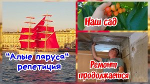 Ремонт в Питерской хрущёвке. Наш сад. Алые паруса.