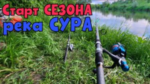 Сезон-Лето-2025 открыт: ловим Сомов на р.Сура, в Пензенской обл.. Густера и Ерши задолбали!!!