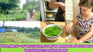 Мои диеты - от чего ушли, к тому и вернулись.  Заготовила чеснок на зиму