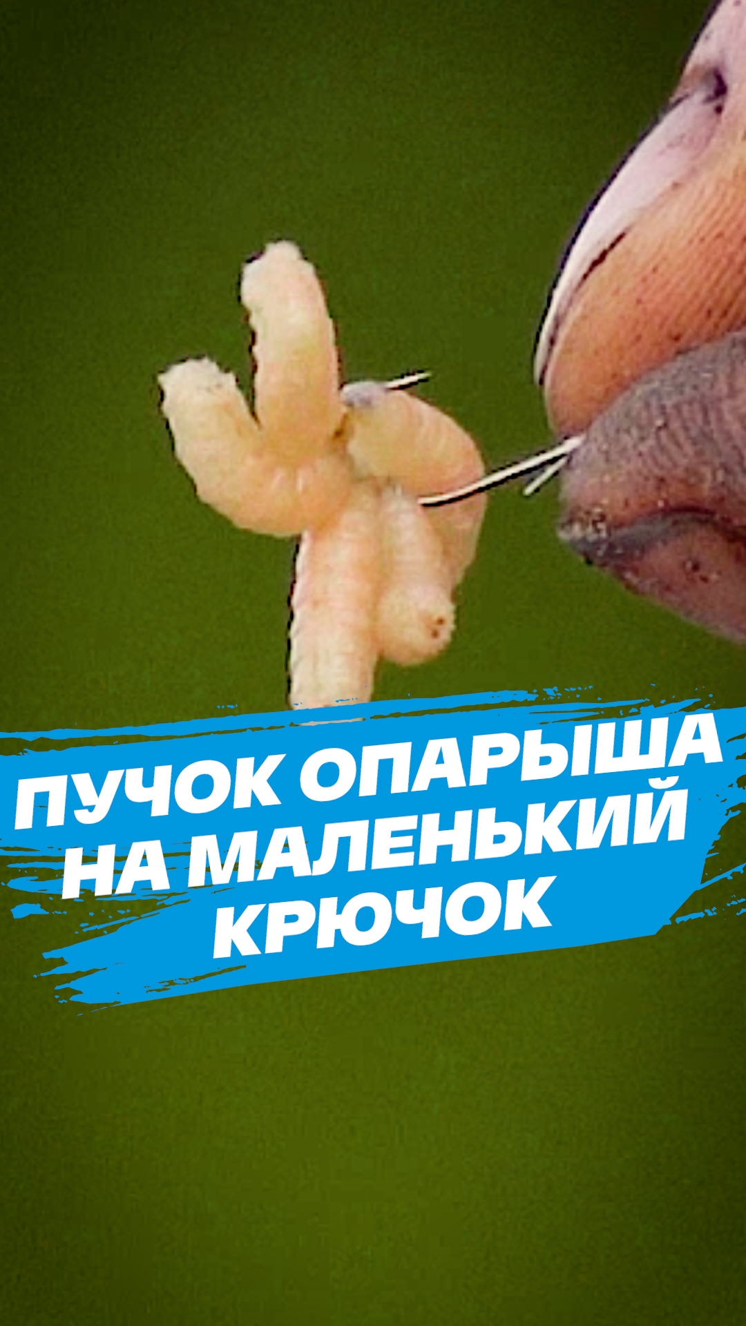 Когда нужна КРУПНАЯ насадка на МАЛЕНЬКОМ крючке. Жало всё ещё открыто!