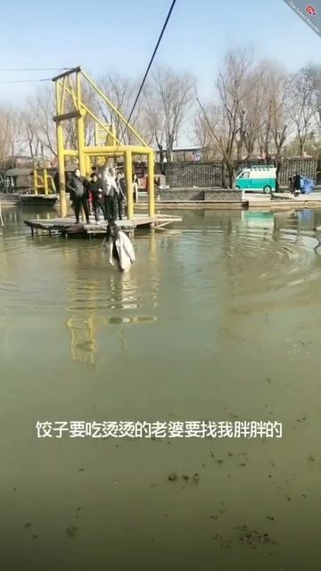 Аква парк в Китае. В зимней одежде полностью упала в воду. Wetlook