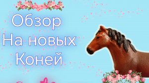Обзор на новинку и перекрасы.
