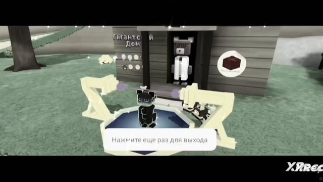 Ира И Super BEAR
