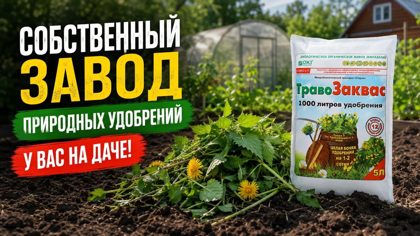 Не выбрасывайте сорняки! Они могут заменить половину удобрений на участке