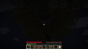 играю в Minecraft