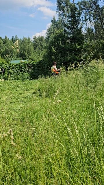 Начали косить))
Подруга  жжёт)