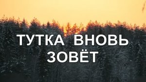 Тутка вновь зовёт