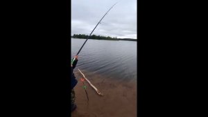 С палаткой на рыбалку.