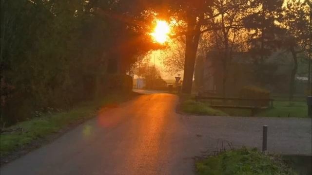 рассвет перед очередным экзаменом [lofi]