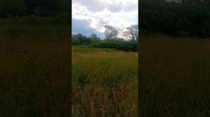 20260614_052816
