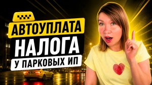 Автоуплата налогов для ИП-водителей: как работает новая функция Яндекс Про.
