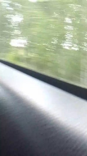 в лес