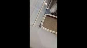 Как постирать вещи так чтобы не надо было гладить.