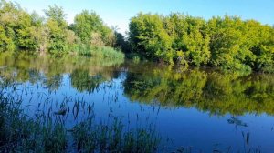 СОЛНЕЧНОЕ УТРО НА РЫБАЛКЕ