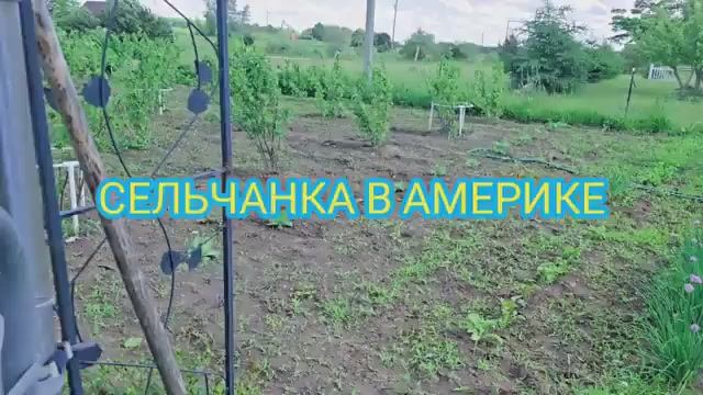 Сельчанка в Америке РЕАЛЬНАЯ ЖИЗНЬ В АМЕРИКЕ