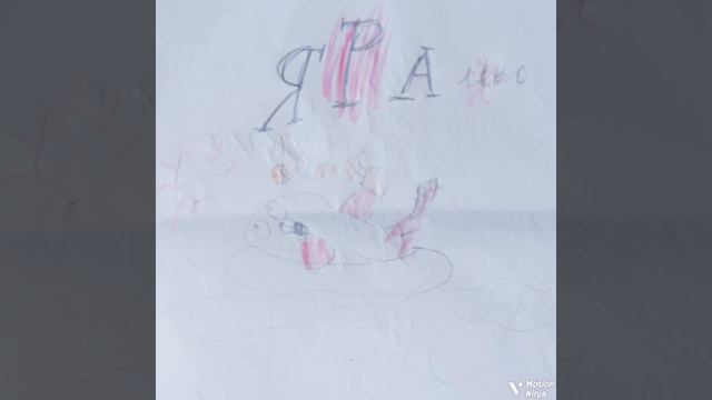 лето - тюлень