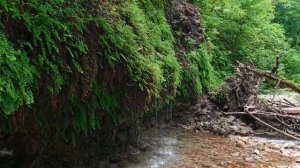 река Якорная Щель
