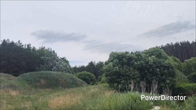 Липецкая обл. с.Даньшино 13.06.26 г.