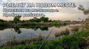 Рыбачу на новом месте. Приехали на мелководье. Пробуем рыбачить