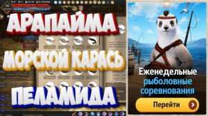 БДО. Арапайма. Морской карась. Пеламида. Рыболовные соревнования. 15-20.06 2026.