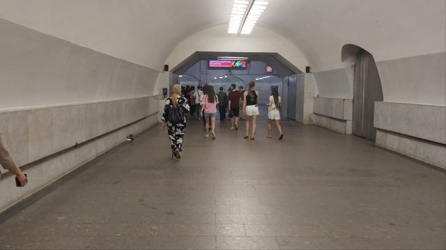 13161.mp4