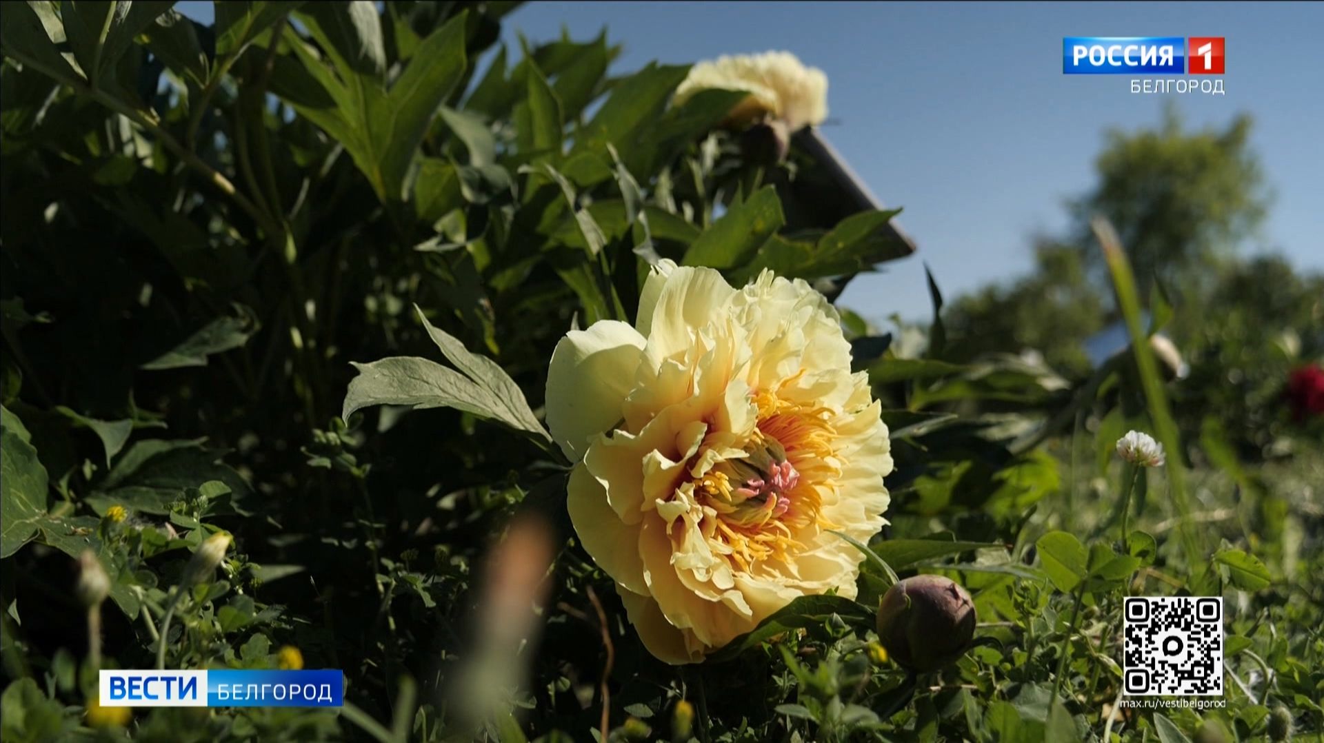 В ботаническом саду НИУ 