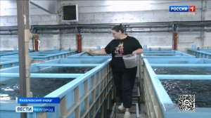 Благодаря федеральной поддержке житель Яковлевского округа разводит экологически чистую форель