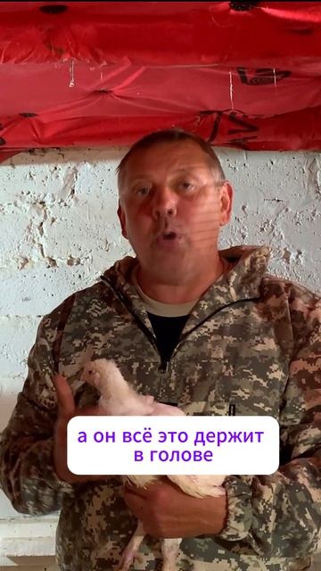 ВОДЯНКА у бройлеров? Срочно уберите ЭТО! 😱🐥
