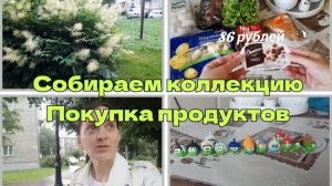 Собираем коллекцию игрушек. Покупка продуктов с ценами.