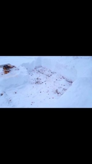 ||релакс||видеодлярелакса||природа||звукиприроды||спокойствие||медитация||расслабление||птицы||дрозд