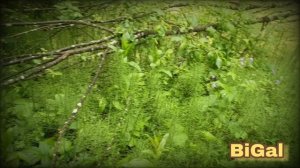 Время ,твоё самое ценное