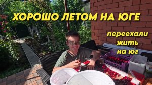 1162 Жизнь на юге/Собираем Черешню/Переехали с Урала на юг