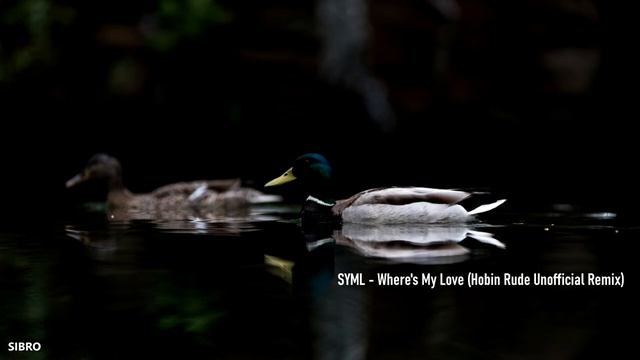 SYML - Where's My Love (Hobin Rude Unofficial Remix)
