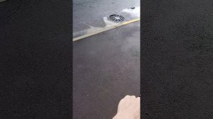 Образовалась огромная лужа после грозы  ⛈️ в Санкт-Петербурге ( 2026 ).