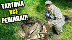 Фидерная рыбалка в верховьях Дона: подобрал тактику  и результат порадовал!