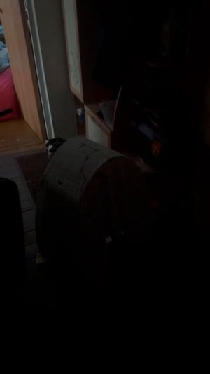 птичек то все помнят ? так вот, они же уже в другой семье😌 а как Ева то их провожала ...) 💪👸🙂#ев