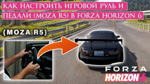 Как настроить игровой руль и педали (Moza R5) в Forza Horizon 6