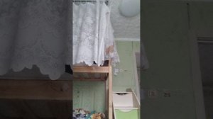 Лера показывает свои игрушки