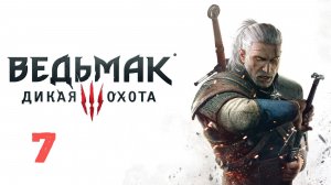 Прохождение | Ведьмак 3: Дикая Охота | PS5 | Часть 7 | Хозяйки Леса