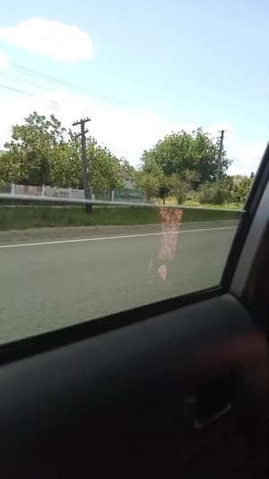 еду в белогорск