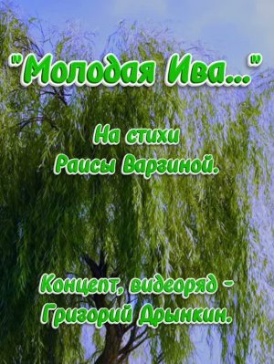 Молодая ива ...  26 . Душевные песни.