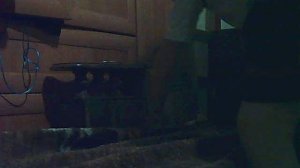 PICT0002