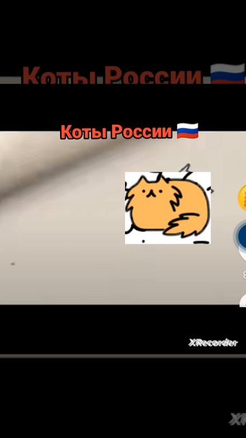 коты в Америке и коты в России